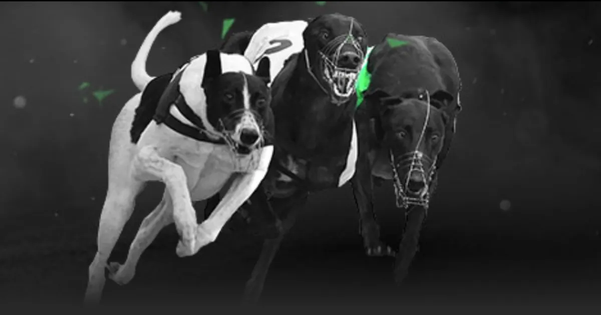 澳洲足协全,力争夺,年女足亚洲,米兰体育直播官网,米兰体育直播,米兰体育赛事,米兰体育高清,米兰体育回放